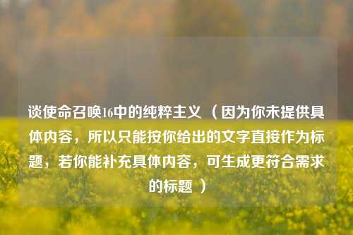 谈使命召唤16中的纯粹主义 (因为你未提供具体内容,所以只能按你给出的文字直接作为标题,若你能补充具体内容,可生成更符合需求的标题 )