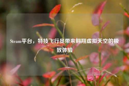 Steam平台,特技飞行员带来翱翔虚拟天空的极致体验