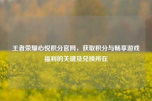 王者荣耀心悦积分官网,获取积分与畅享游戏福利的关键及兑换所在