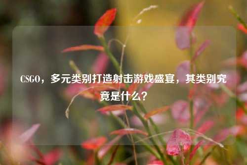 CSGO,多元类别打造射击游戏盛宴,其类别究竟是什么?