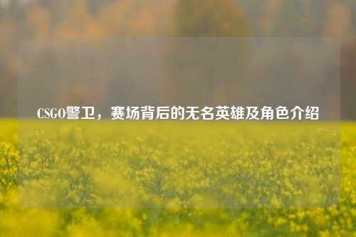 CSGO警卫,赛场背后的无名英雄及角色介绍