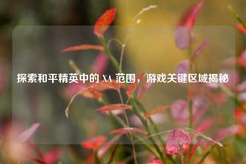 探索和平精英中的 XA 范围,游戏关键区域揭秘