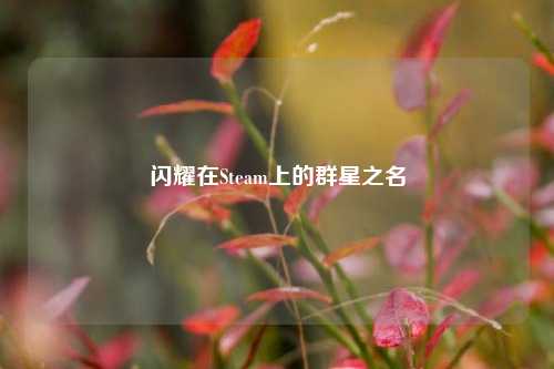 闪耀在Steam上的群星之名