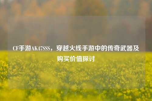 CF手游AK47SSS,穿越火线手游中的传奇武器及购买价值探讨