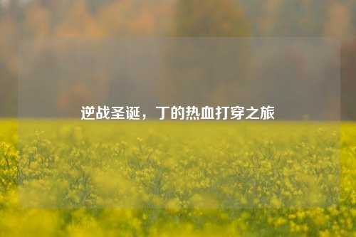 逆战圣诞,丁的热血打穿之旅