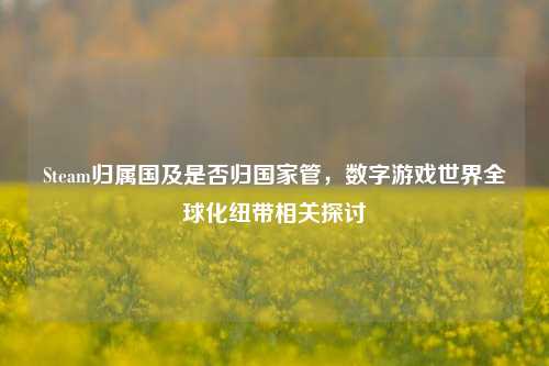 Steam归属国及是否归国家管,数字游戏世界全球化纽带相关探讨