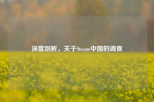 深度剖析,关于Steam中国的调查