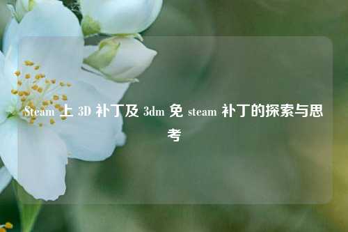 Steam 上 3D 补丁及 3dm 免 steam 补丁的探索与思考
