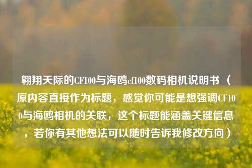 翱翔天际的CF100与海鸥cf100数码相机说明书 （原内容直接作为标题，感觉你可能是想强调CF100与海鸥相机的关联，这个标题能涵盖关键信息，若你有其他想法可以随时告诉我修改方向）
