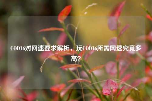 COD16对网速要求解析,玩COD16所需网速究竟多高?