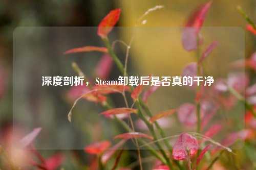 深度剖析,Steam卸载后是否真的干净