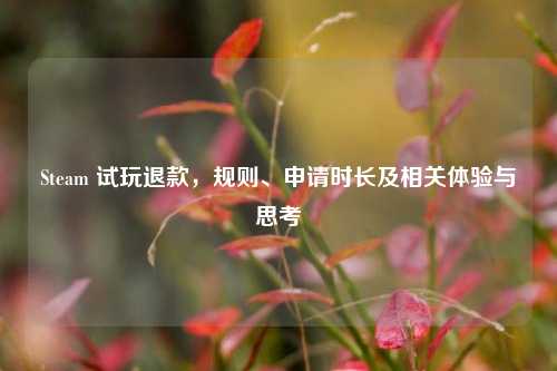 Steam 试玩退款,规则、申请时长及相关体验与思考