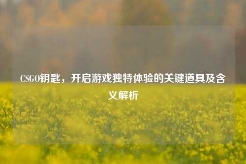 CSGO钥匙,开启游戏独特体验的关键道具及含义解析