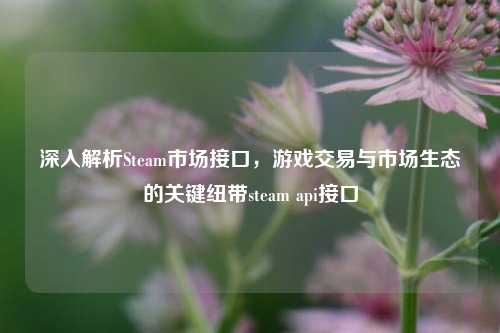 深入解析Steam市场接口,游戏交易与市场生态的关键纽带steam api接口
