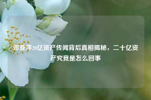邓亚萍20亿资产传闻背后真相揭秘,二十亿资产究竟是怎么回事