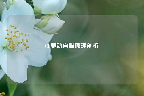 CF驱动自瞄原理剖析