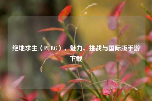 绝地求生(PUBG),魅力、挑战与国际版手游下载
