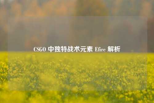 CSGO 中独特战术元素 Efire 解析