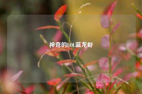 神奇的LOL蓝龙虾