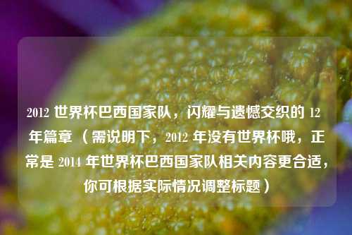2012 世界杯巴西国家队，闪耀与遗憾交织的 12 年篇章 （需说明下，2012 年没有世界杯哦，正常是 2014 年世界杯巴西国家队相关内容更合适，你可根据实际情况调整标题）