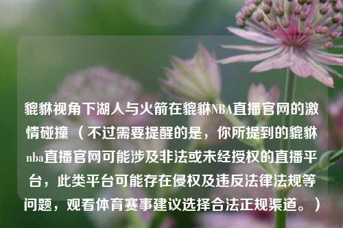 貔貅视角下湖人与火箭在貔貅NBA直播官网的激情碰撞 (不过需要提醒的是,你所提到的貔貅nba直播官网可能涉及非法或未经授权的直播平台,此类平台可能存在侵权及违反法律法规等问题,观看体育赛事建议选择合法正规渠道。)