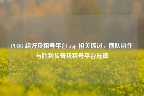 PUBG 组好及租号平台 app 相关探讨,团队协作与胜利传奇及租号平台选择