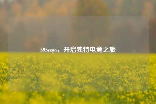 595csgo，开启独特电竞之旅