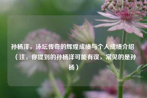 孙杨洋,泳坛传奇的辉煌成绩与个人成绩介绍 (注,你提到的孙杨洋可能有误,常见的是孙杨)