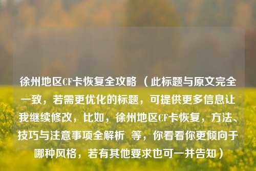 徐州地区CF卡恢复全攻略 (此标题与原文完全一致,若需更优化的标题,可提供更多信息让我继续修改,比如,徐州地区CF卡恢复,方法、技巧与注意事项全解析 等,你看看你更倾向于哪种风格,若有其他要求也可一并告知)