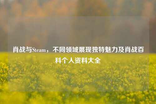 肖战与Steam，不同领域展现独特魅力及肖战百科个人资料大全