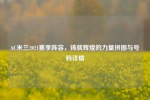 AC米兰2021赛季阵容，铸就辉煌的力量拼图与号码详情