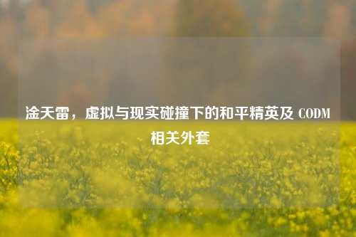 淦天雷，虚拟与现实碰撞下的和平精英及 CODM 相关外套