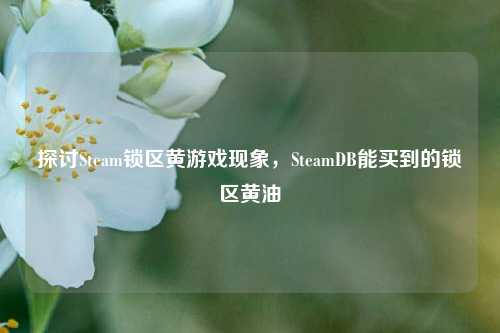 探讨Steam锁区黄游戏现象，SteamDB能买到的锁区黄油