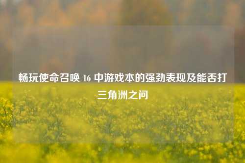 畅玩使命召唤 16 中游戏本的强劲表现及能否打三角洲之问