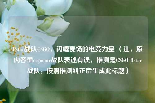 Rstar战队CSGO,闪耀赛场的电竞力量 (注,原内容里csgormr战队表述有误,推测是CSGO Rstar战队,按照推测纠正后生成此标题)