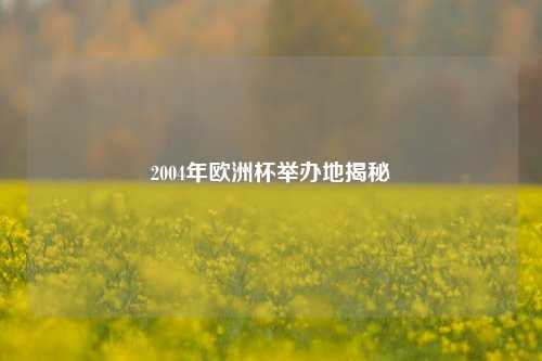 2004年欧洲杯举办地揭秘