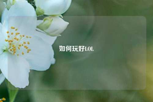 如何玩好LOL