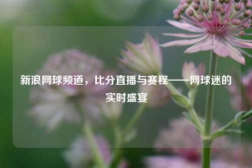 新浪网球频道，比分直播与赛程——网球迷的实时盛宴