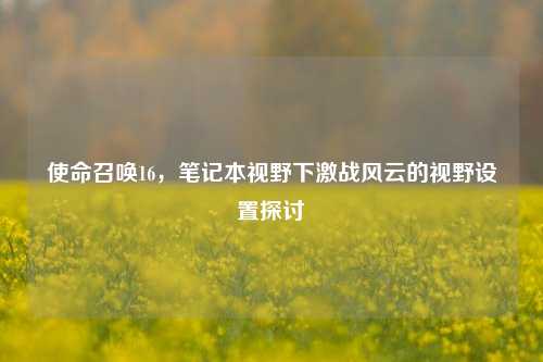 使命召唤16,笔记本视野下激战风云的视野设置探讨