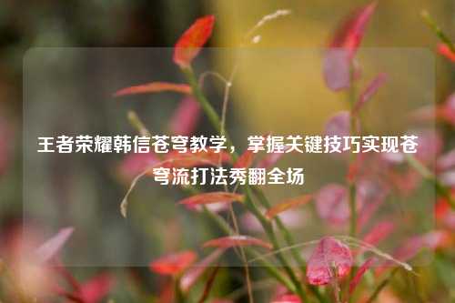 王者荣耀韩信苍穹教学,掌握关键技巧实现苍穹流打法秀翻全场