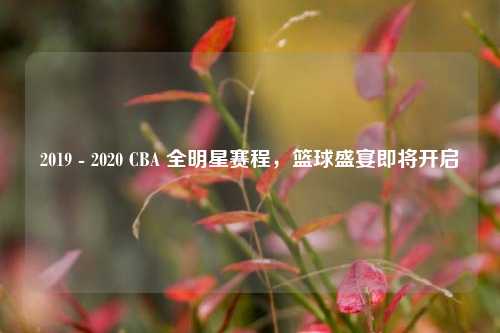 2019 - 2020 CBA 全明星赛程，篮球盛宴即将开启