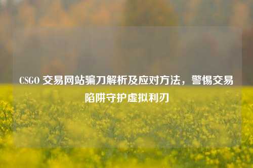 CSGO 交易网站骗刀解析及应对方法，警惕交易陷阱守护虚拟利刃