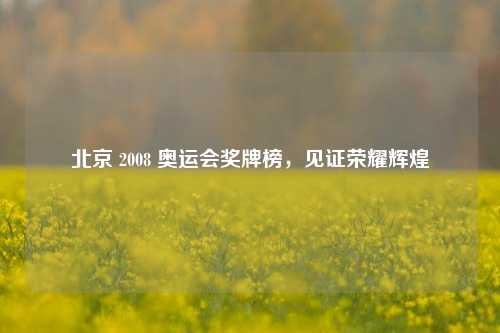 北京 2008 奥运会奖牌榜，见证荣耀辉煌