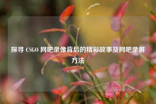 探寻 CSGO 网吧录像背后的精彩故事及网吧录屏方法