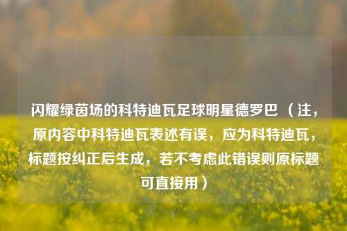 闪耀绿茵场的科特迪瓦足球明星德罗巴 （注，原内容中科特迪瓦表述有误，应为科特迪瓦，标题按纠正后生成，若不考虑此错误则原标题可直接用）