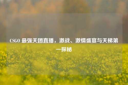 CSGO 最强天团直播，激战、激情盛宴与天梯第一探秘