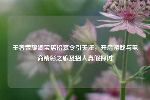 王者荣耀淘宝店招募令引关注,开启游戏与电商精彩之旅及招人真假探讨