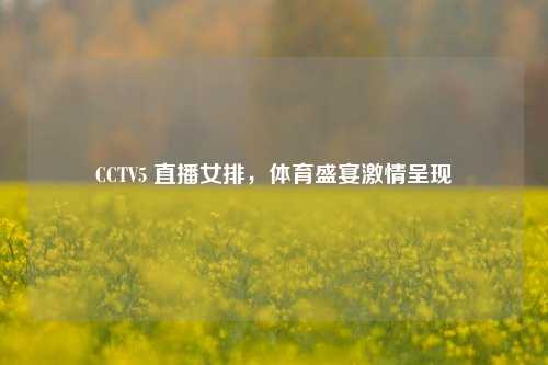 CCTV5 直播女排,体育盛宴激情呈现