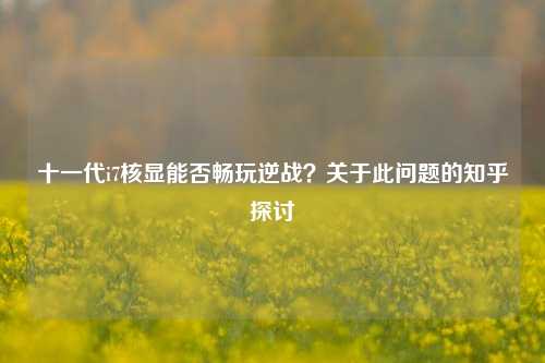 十一代i7核显能否畅玩逆战?关于此问题的知乎探讨