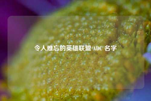 令人难忘的英雄联盟 ADC 名字